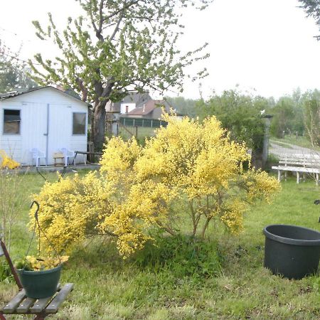 Ferme Lenfant Vendégház Ville-Pommeroeul Kültér fotó