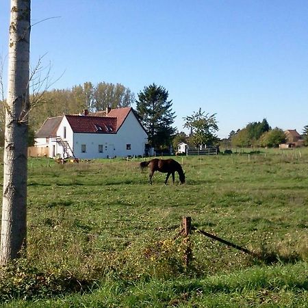 Ferme Lenfant Vendégház Ville-Pommeroeul Kültér fotó