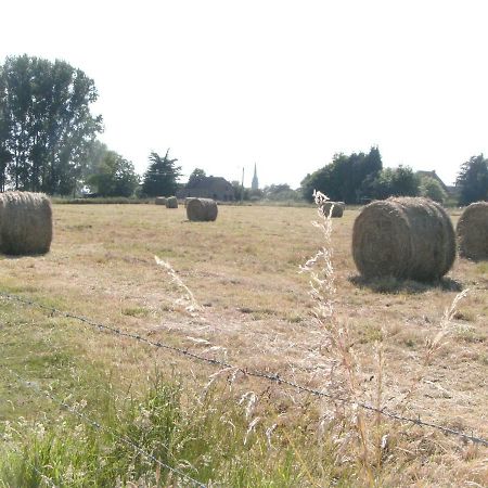 Ferme Lenfant Vendégház Ville-Pommeroeul Kültér fotó