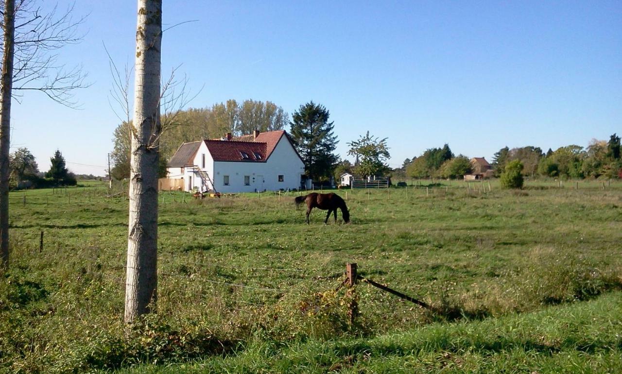 Ferme Lenfant Vendégház Ville-Pommeroeul Kültér fotó