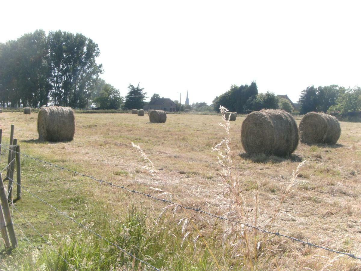 Ferme Lenfant Vendégház Ville-Pommeroeul Kültér fotó