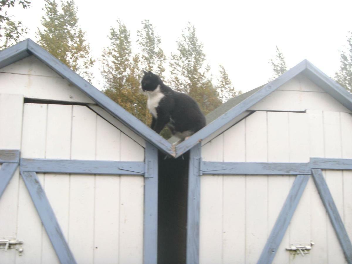 Ferme Lenfant Vendégház Ville-Pommeroeul Kültér fotó
